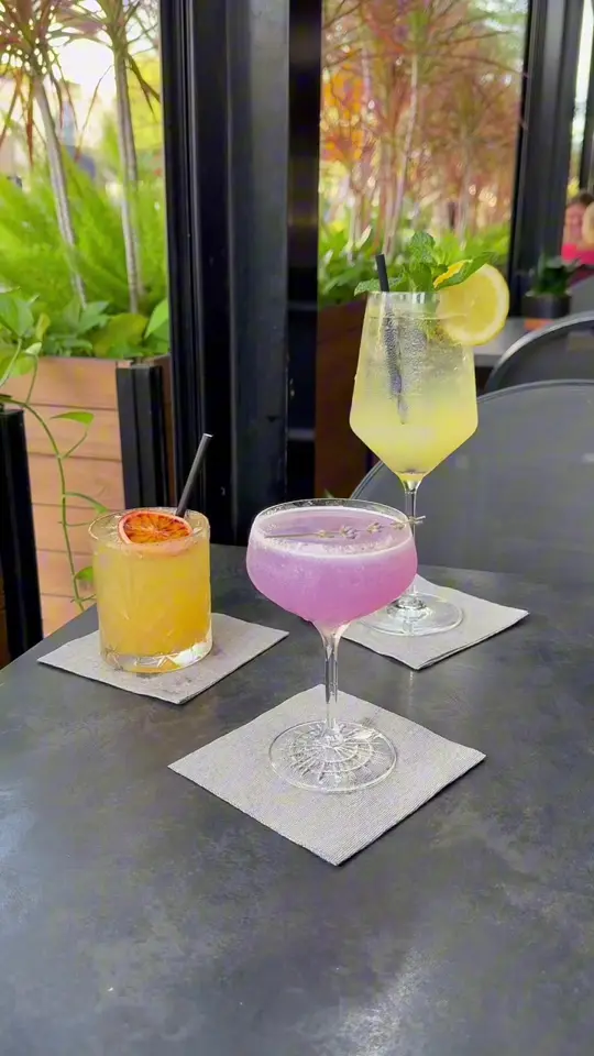 Timpano Hyde Park in Tampa showing cocktail, specialty priced cocktails / wine, $9 wines-by-the-glass / food, bar fare, video by eatlocalflorida on TikTok