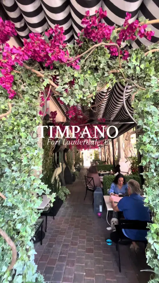 Timpano Las Olas in Fort Lauderdale showing brunch, drinks, atmosphere, video by kistbbs.esq on TikTok