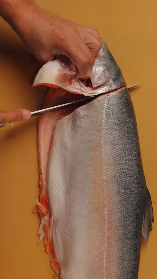 Toni's Sushi Bar in Miami Beach showing restaurant, sushi bar, nigiri, omakase, sake, video by Toni's Sushi Bar on Facebook