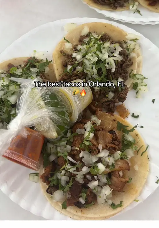 Tortas El Rey in Orlando showing visit, tacos, video by kim_berlyy97 on TikTok