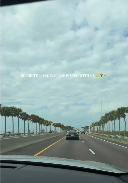 Toucans Bar & Grill in Clearwater showing visit, review, bar, cheap drinks, happy hour, video by thejustinediaries on TikTok