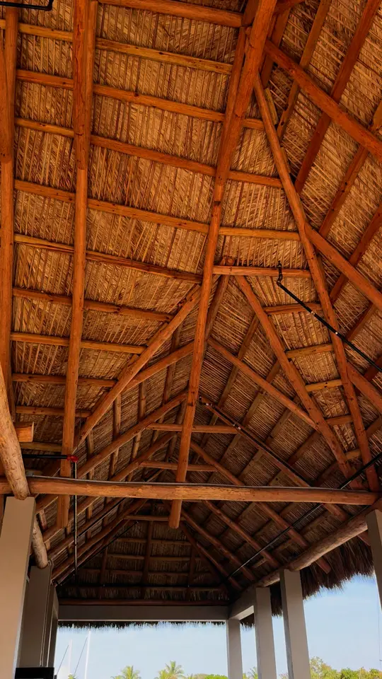  in Florida showing venue, atmosphere, video by Tradewinds 41 on Facebook