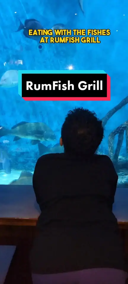 Tradewinds Bar & Grill in Kissimmee showing dinner, aquarium view, food, drinks, video by orlandofamilyfun on TikTok