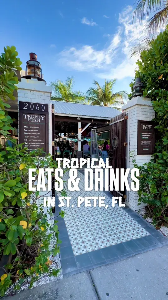 Trophy Fish on TikTok, video by thingstodotampabay