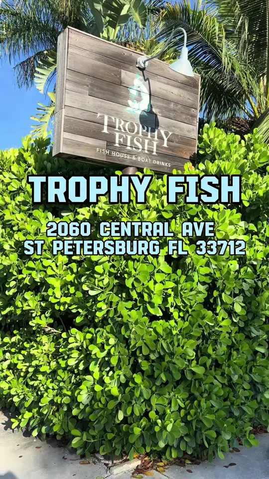 Trophy Fish on TikTok, video by justpotus