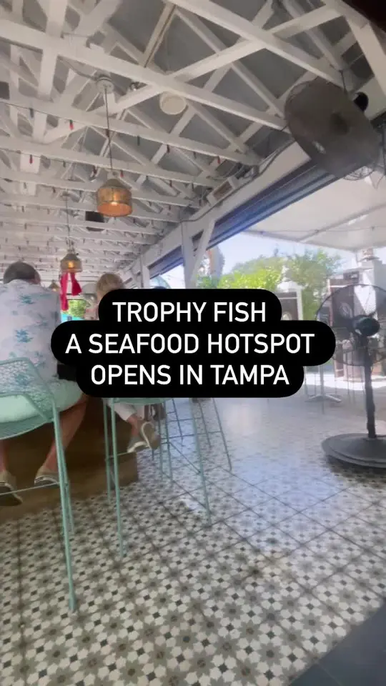Trophy Fish in Tampa showing seafood, fish sandwich, video by thatssotampa on TikTok