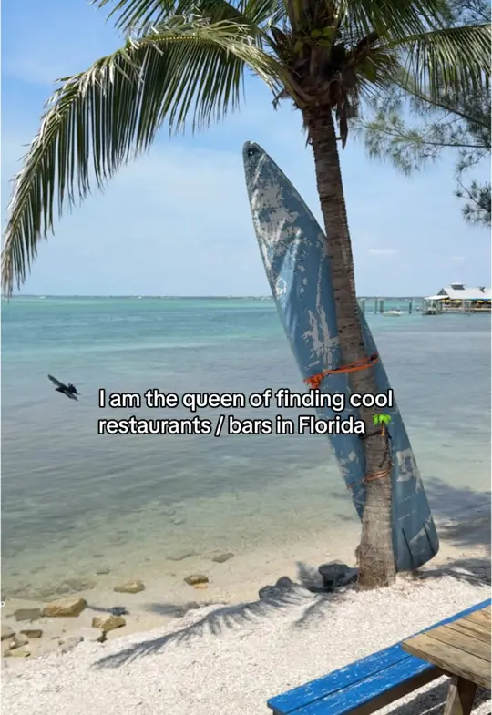 Turtles Restaurant in Sarasota showing atmosphere, waterfront, dive bar, florida life, video by trippingwithturtle on TikTok
