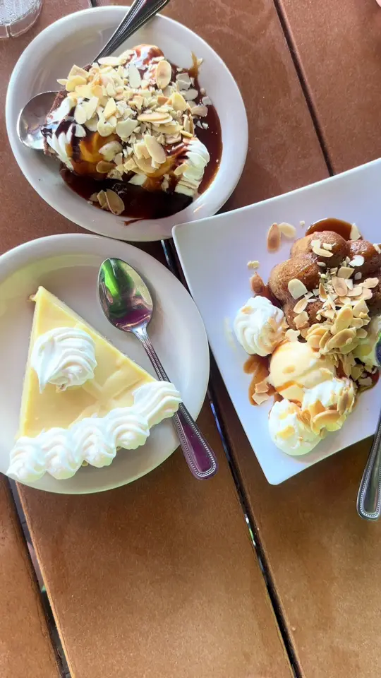 Turtles Restaurant in Sarasota showing dinner, sunset, visit, video by rose.poplin on TikTok