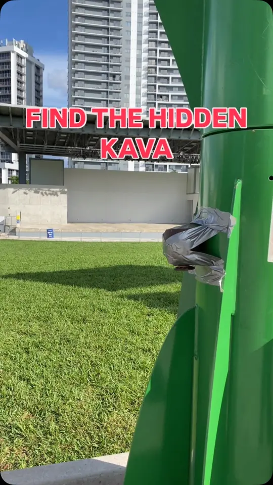 Twisted Roots Kava Brewery in Hollywood showing kava, stress relieving kava, secret coconut shell, bula, video by Twisted Roots Kava Brewery on Facebook