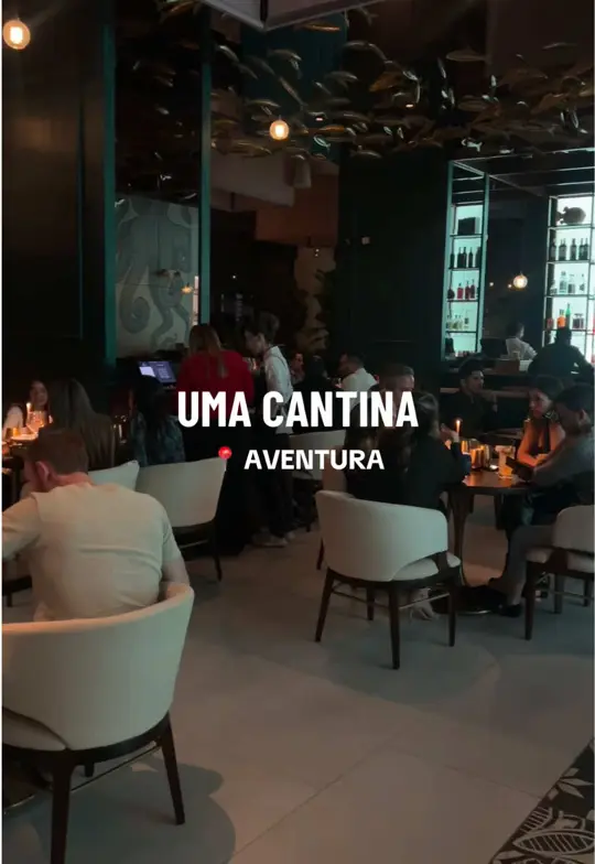 UMA Cantina Peruana in North Miami Beach showing cocktail, pisco cocktail / food, anticuchos / dessert, suspiro limeño / atmosphere, date night, video by camimesaz on TikTok
