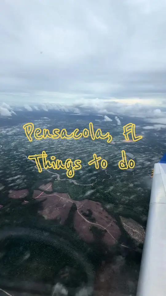  in Florida showing visit, pork shank, cocktails, live music, crabs on the beach, sushi, seafood boil, fresh fish, frozen irish coffee, omelette, video by giinnymoon on TikTok