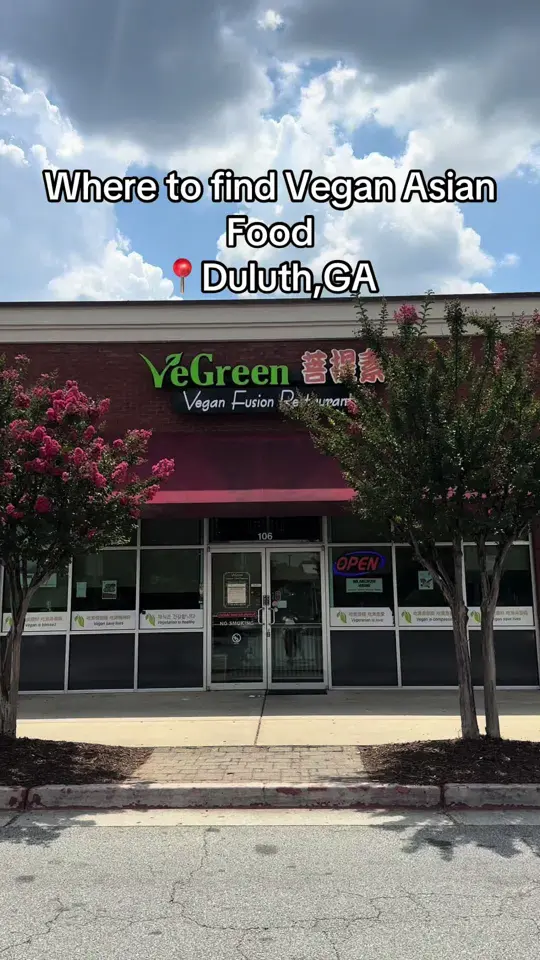 VeGreen Vegan Fusion Restaurant in Duluth showing vegan asian food, restaurant visit, video by travelfoodie_ishy on TikTok