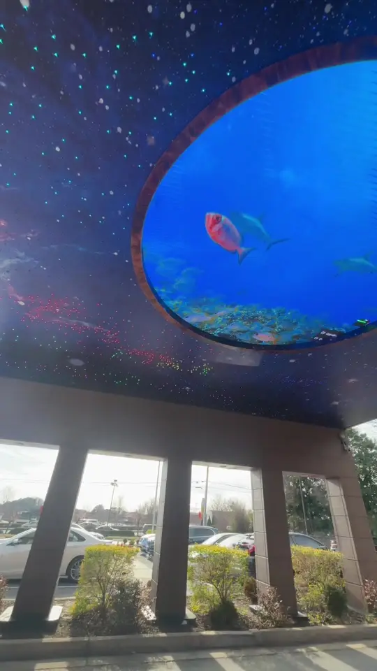 Volcano Steak & Sushi in Duluth showing visit, steak, sushi, video by darealannab on TikTok