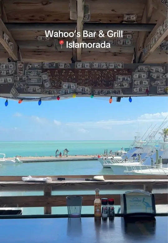  in Florida showing food, key lime pie, video by francis_aa on TikTok