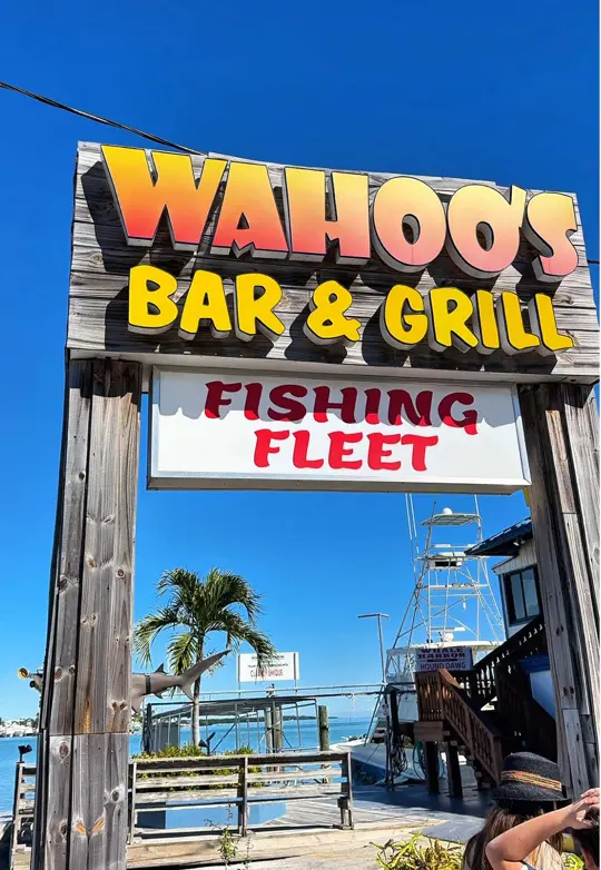  in Florida showing visit, blackened mahi, crispy conch fritters, video by theramblingraccoon on TikTok