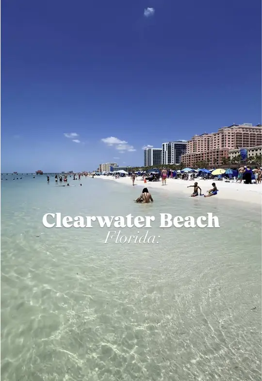 \ on TikTok, video by thingstodotampabay