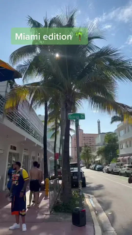 Wet Willie's in Miami showing food review, cheese sticks, mozzarella, video by stic.tok on TikTok