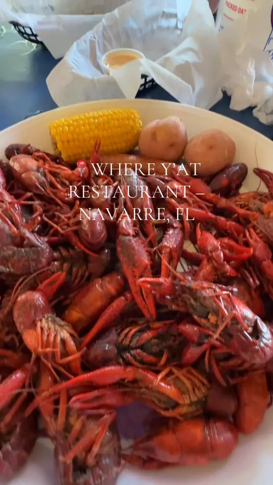 Where Y’at Seafood Market & Restaurant in Navarre showing review, crawfish (mudbugs), boudin balls, royal reds, beignets, video by estherbranch21 on TikTok