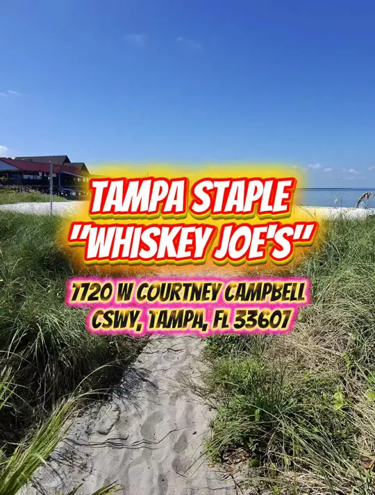 Whiskey Joe's Bar & Grill - Tampa on TikTok, video by funtampa