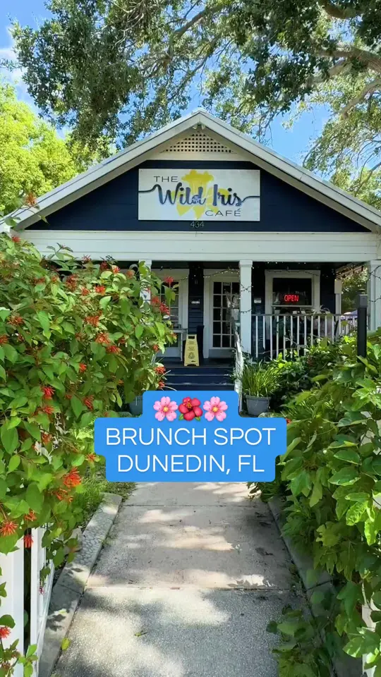 Wild Iris Cafe in Dunedin showing coffee, espresso / coffee, iced latte / drinks, seasonal sip / atmosphere, cozy cafe / review, best brunch spots, video by visitspc on TikTok