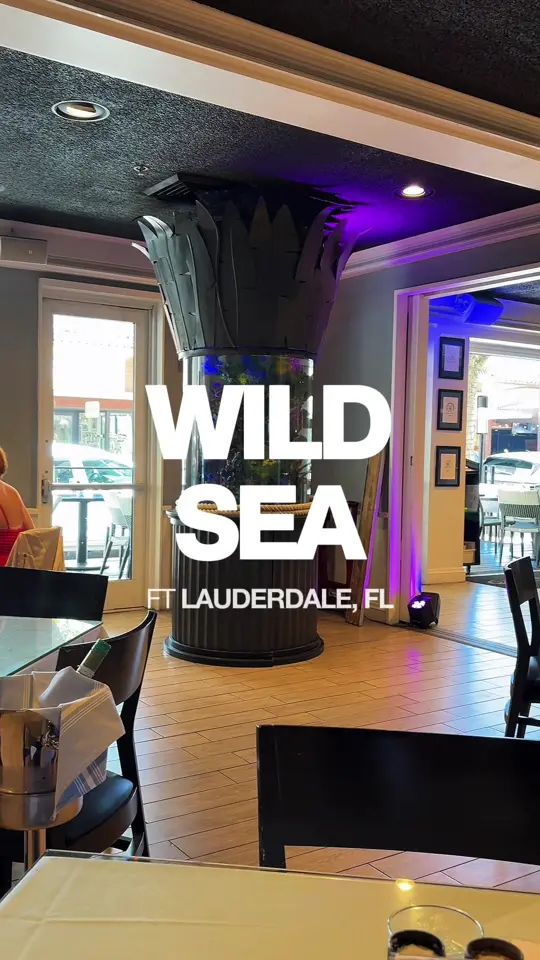 Wild Sea Las Olas in Fort Lauderdale showing review, spinach and artichoke dip, crab cake, boulevard bagel, video by eatyourcontent on TikTok