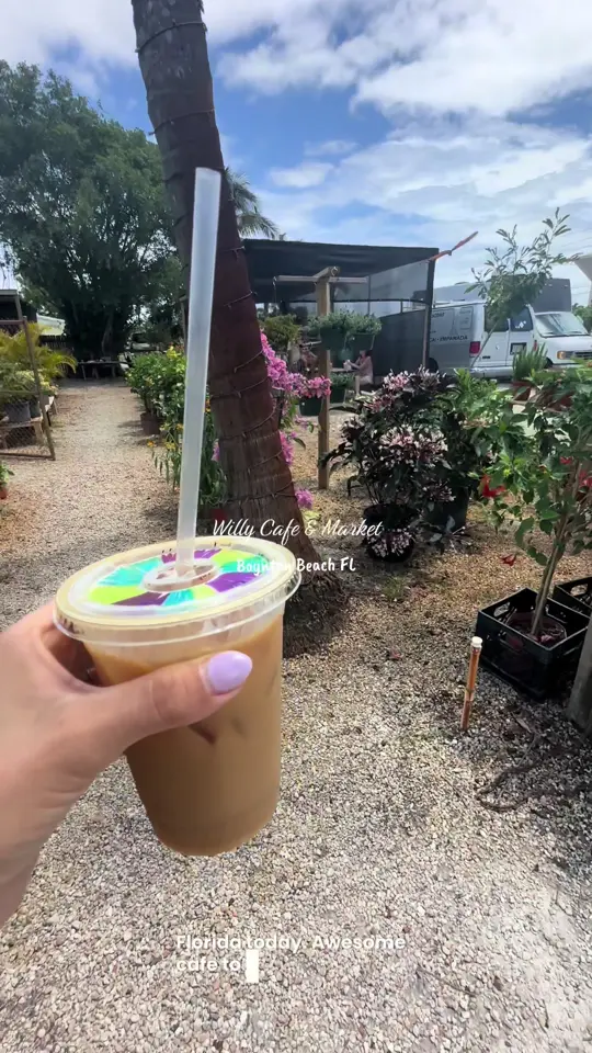 WILLY Cafe & Market in Boynton Beach showing coffee, oat milk iced latte, food, empandas, video by palmtreesnlattes on TikTok