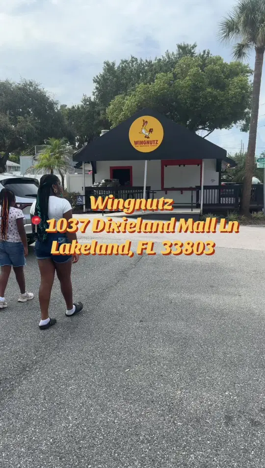 Wingnutz Lakeland in Lakeland showing visit, food review, kids tender meal, burger, fries, honey garlic wings, video by ashley..simone on TikTok