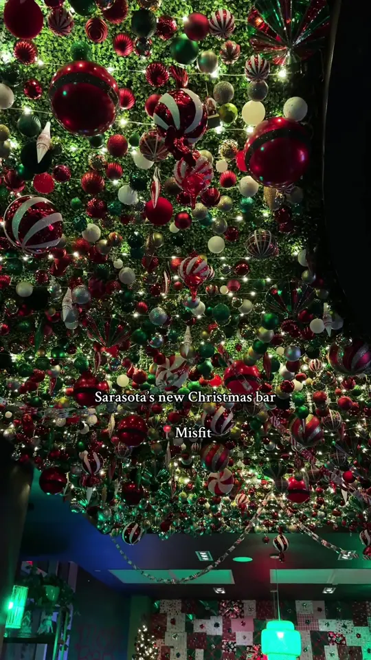  in Florida showing visit, pop up bar, misfit bar, video by betweenpostcards on TikTok