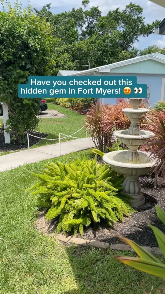 Wisteria Tea Room & Café in Fort Myers showing tea, wisteria tea room & cafe, fort myers, video by Visit Fort Myers on Facebook