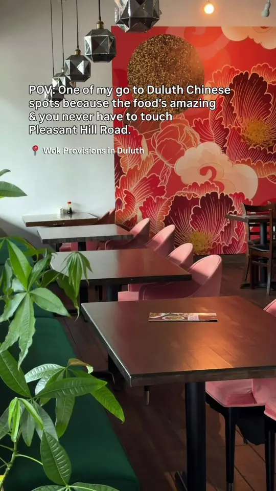 Wok Provisions - Duluth in Duluth showing review, visit, video by jodie.and.joe on TikTok