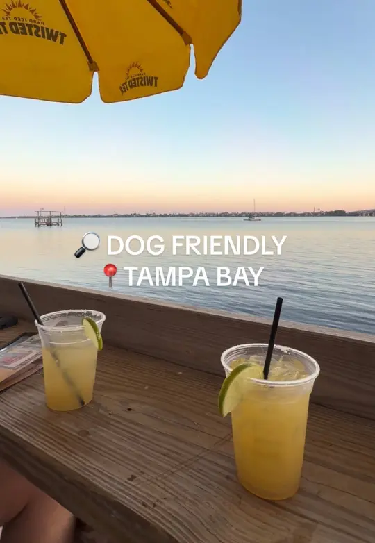 WOODY’S RIVER ROO PUB, GRILL & TIKI BAR in Ellenton showing tiki vibes, live music, dog-friendly atmosphere, video by redhotchilipup on TikTok