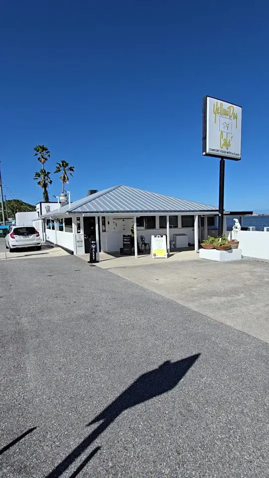 Yellow Dog Eats in Windermere showing review, visit, house-made pierogis, filet mignon with bacon bleu cheese butter, river views, video by thetreasurecoastfoodie on TikTok