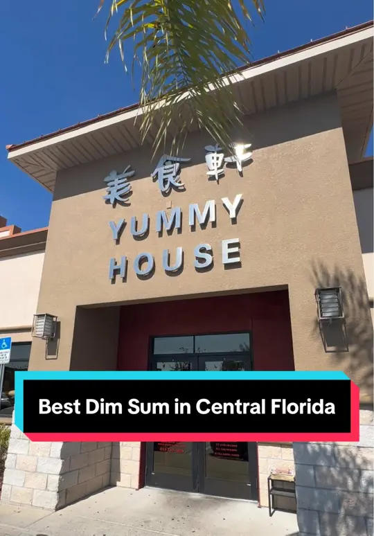 Yummy House China Bistro Tampa in Tampa showing dim sum, potstickers, tofu, dumplings, bun, suimai, video by tomk_93 on TikTok