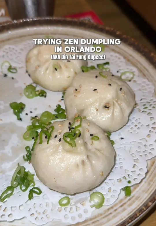 Zen Dumpling in Brandon showing review, soup dumplings, video by brookebohannan_ on TikTok