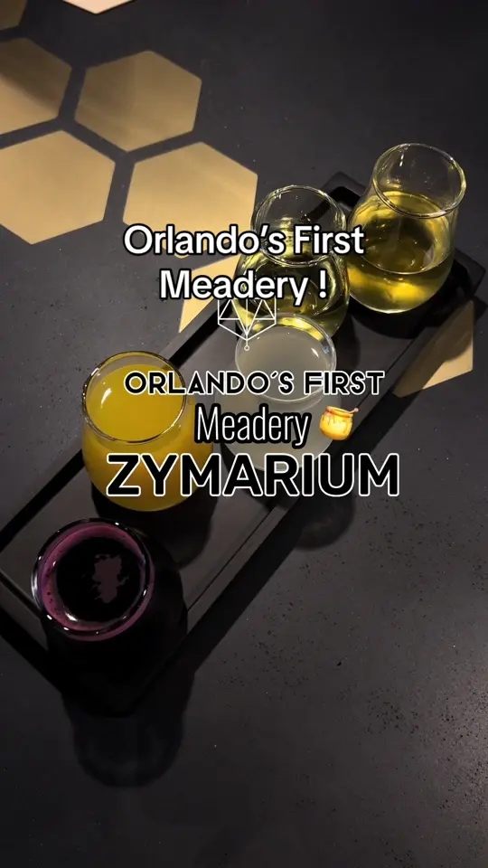 Zymarium Meadery in Orlando showing review, visit, meadery, video by beercutieandfoodie on TikTok