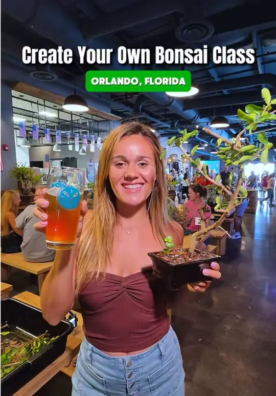 Zymarium Meadery in Orlando showing event, bonsai workshop, drink, mead, video by neverboredinorlando on TikTok